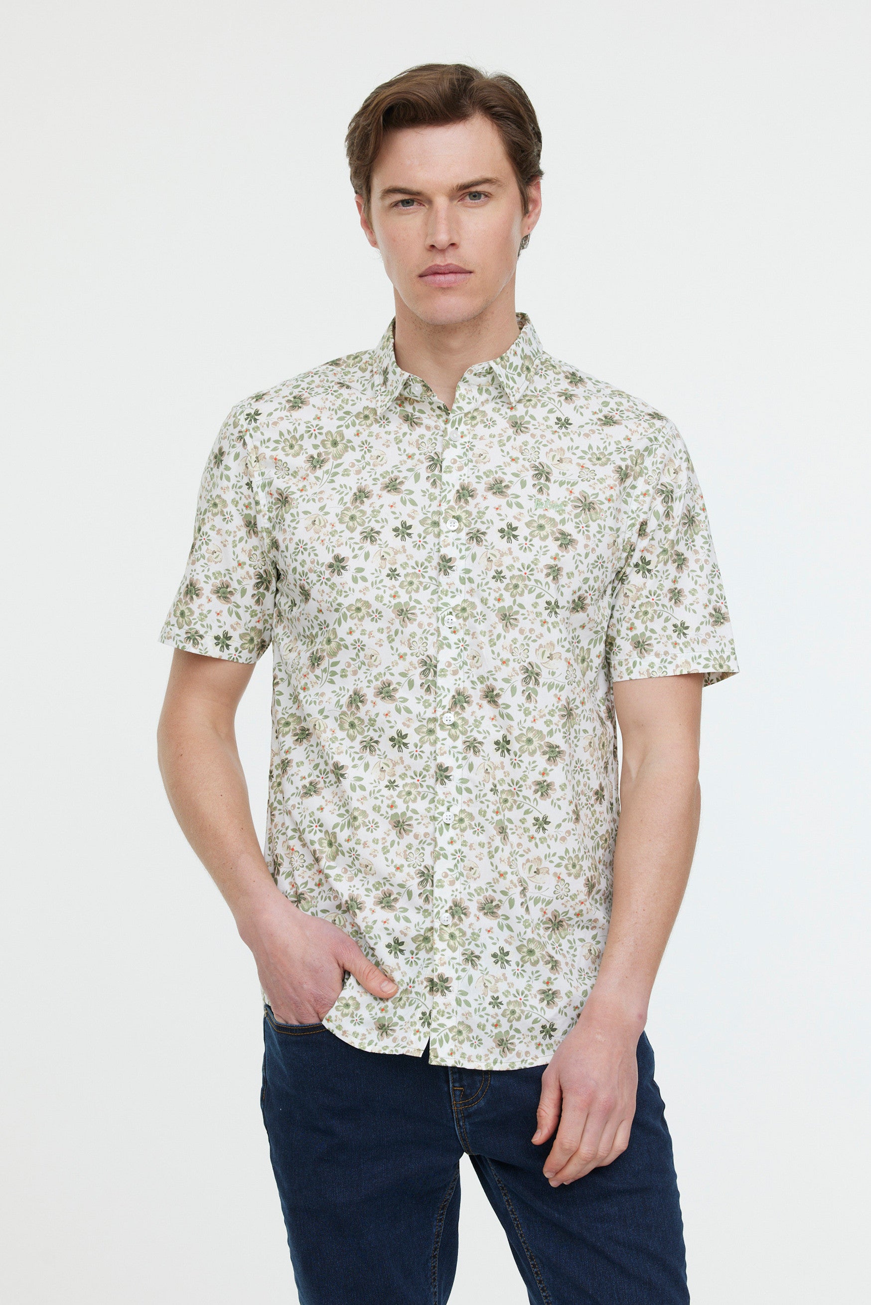 Chemises DILERTY Pistachio