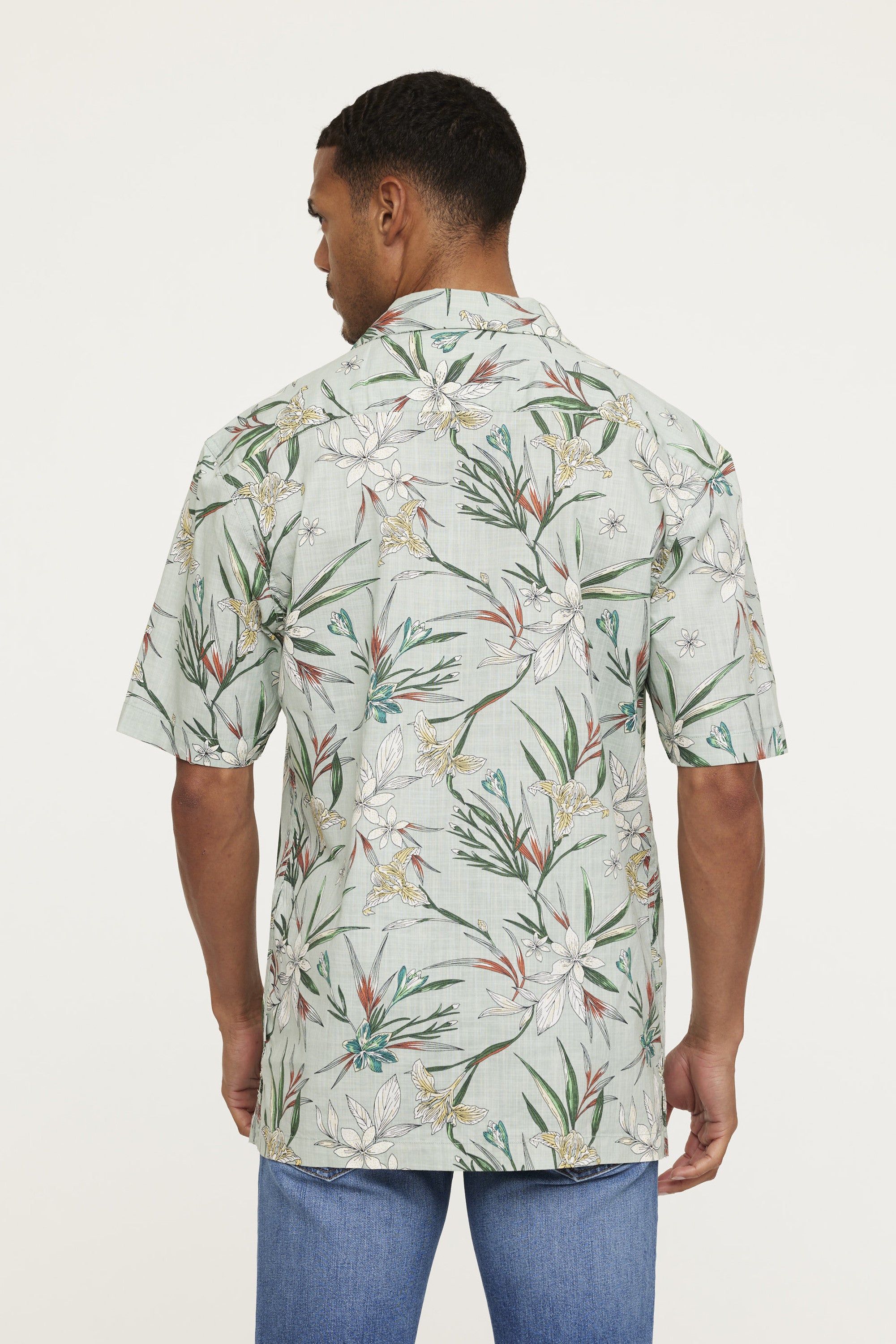 Chemise DOVO Matcha