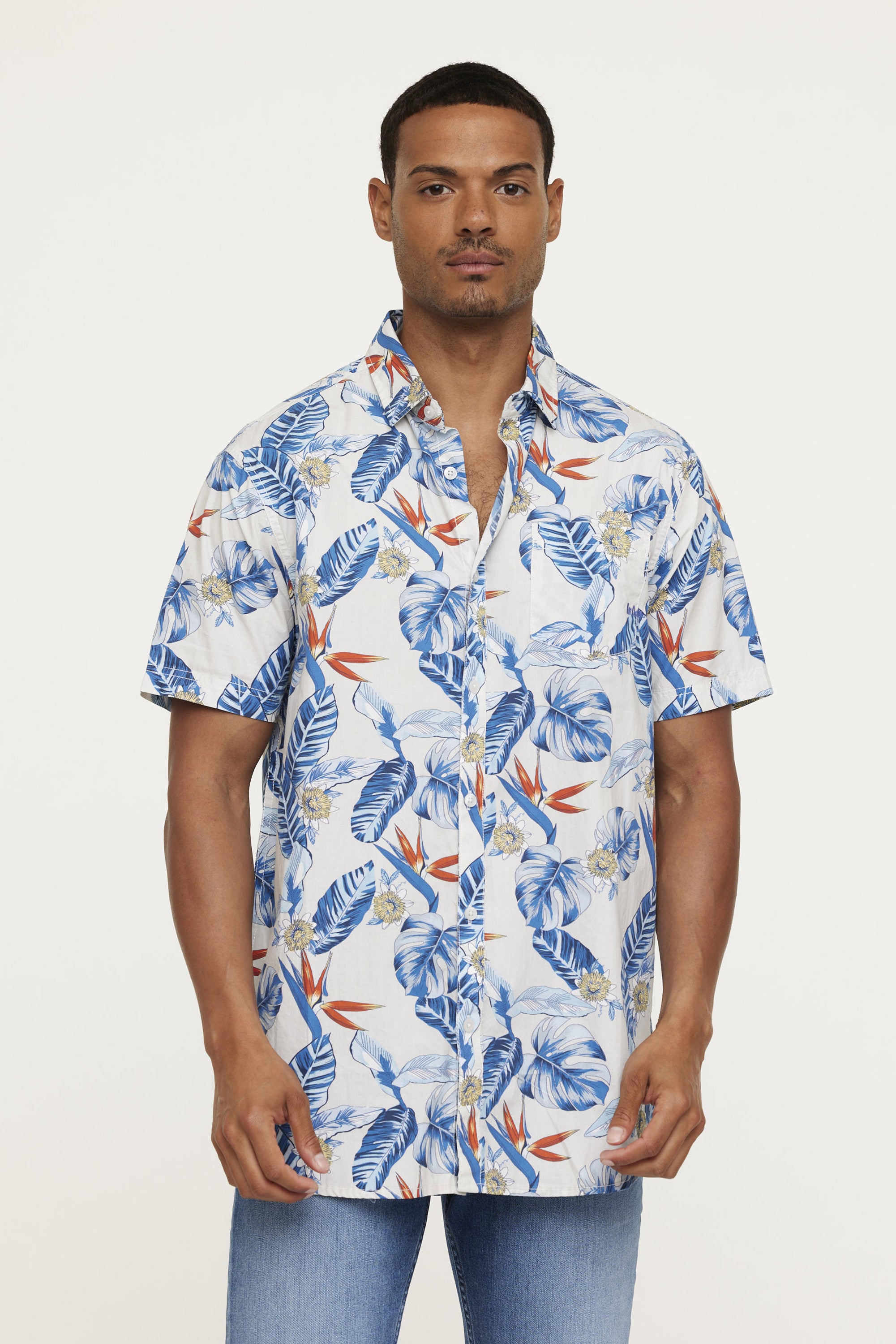 Chemise DARIZO Blue Grey